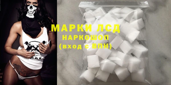 mdpv Каменногорск