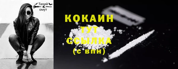 mdpv Каменногорск