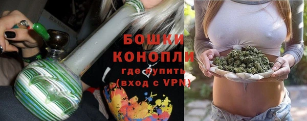 mdpv Каменногорск