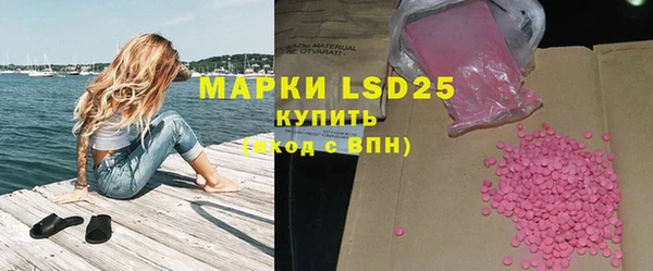 mdpv Каменногорск
