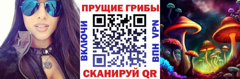 Купить закладки  Зеленодольск  Псилоцибиновые грибы мицелий 